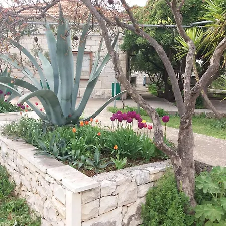 Apartamento Franka *