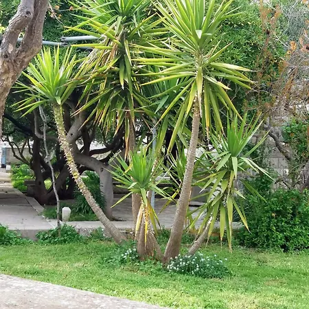 Apartmán Franka *