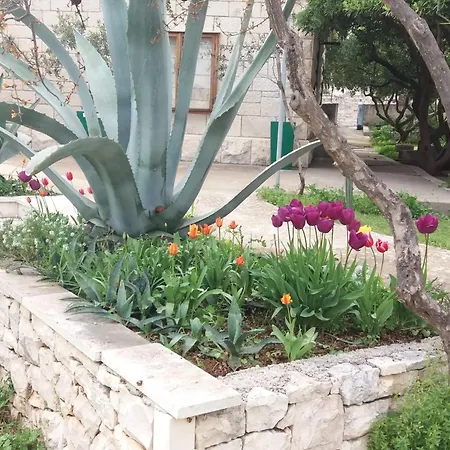 شقة Franka سومارتين