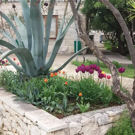 Franka סומרטין