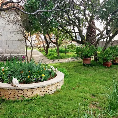 Franka * سومارتين