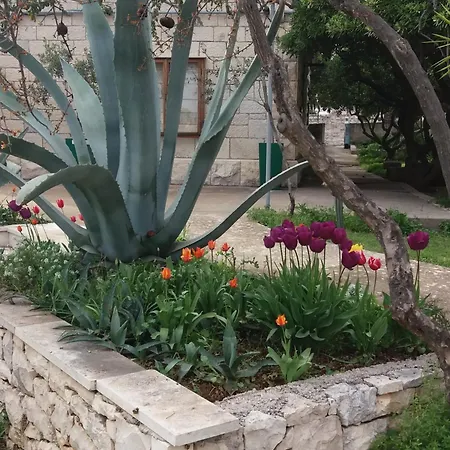 Franka סומרטין